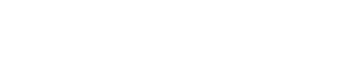 logo wt